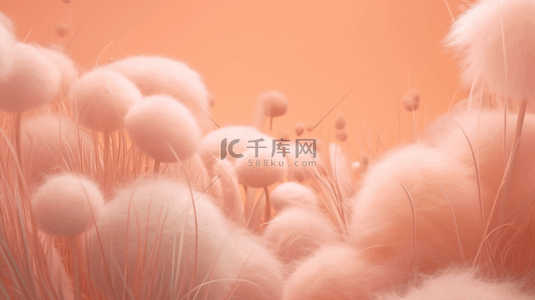 粉桃色毛茸茸植物自然装饰背景3设计图