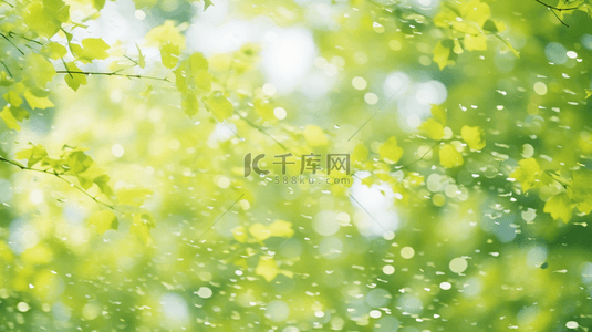 清新春季绿色枝叶光影背景设计