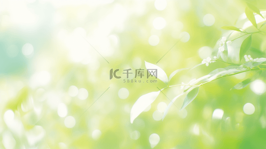 清新春季绿色枝叶光影背景背景素材
