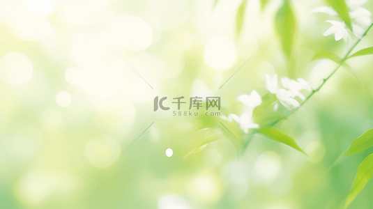 清新春季绿色枝叶光影背景设计图
