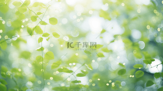 清新春季绿色枝叶光影背景背景素材