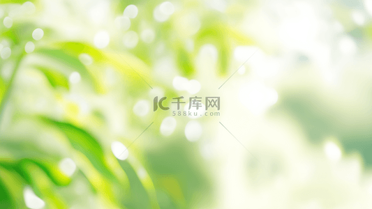 草绿色背景素材背景图片_清新春天枝叶光影光效背景素材