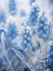冬天背景图片_写实冬天结冰冰花花朵背景(7)