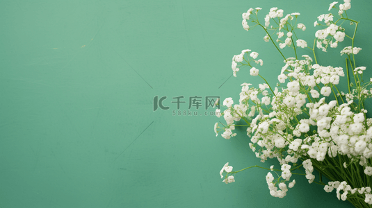 春天绿色背景素材背景图片_清新白色花枝浅绿色背景