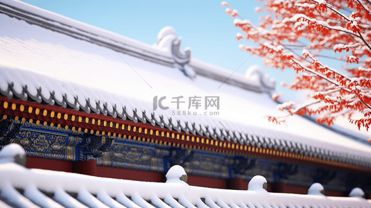 北京故宫冬季雪景特写镜头图片23