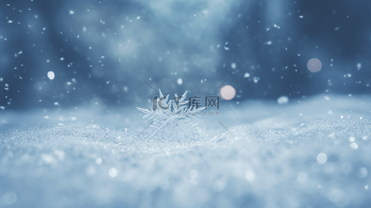 冰冷阳光雪花飘落艺术特写背景(1)