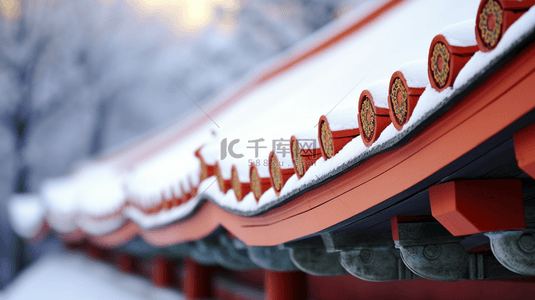 北京故宫冬季雪景特写镜头图片9