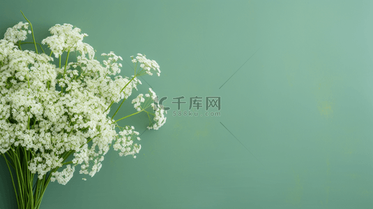 绿色浅绿色背景背景图片_清新白色花枝浅绿色背景