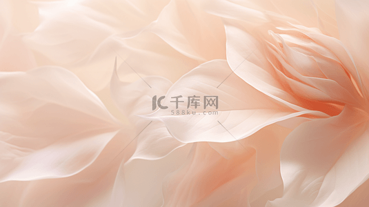 异性kt板花瓣背景图片_半透明柔和桃渐变花朵花瓣背景