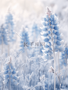 写实冬天结冰冰花花朵背景(4)