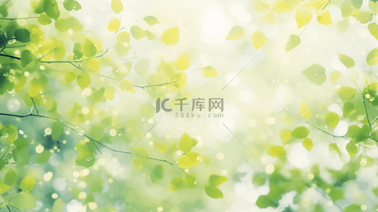 清新春季绿色枝叶光影背景图片
