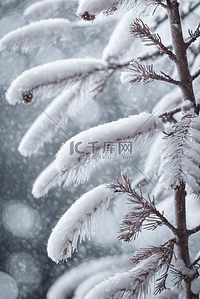 白色雪天背景图片_寒冷冬季白色雪景图122