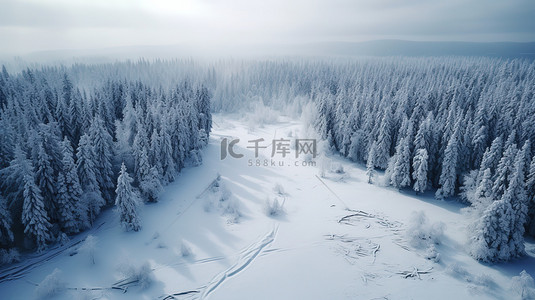 冬天森林雪景鸟瞰图3素材