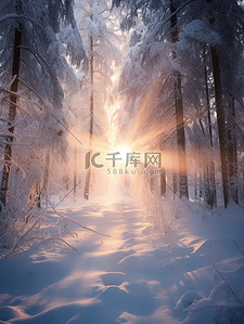 温暖阳光背景图片_清晨阳光的冬天雪景14设计