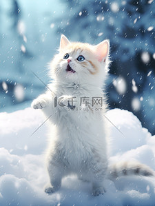 猫咪桌面壁纸背景图片_冬天的小猫雪中跳跃壁纸7背景素材