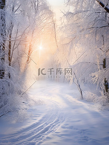 冬天温暖背景图片_清晨阳光的冬天雪景15设计图