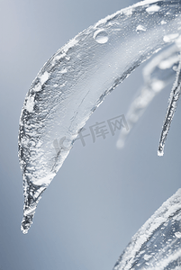 寒冷冬季结晶冰霜图39