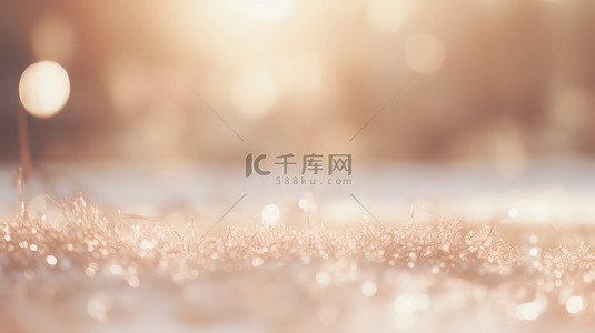 白雪皑皑森林冰雪特写10图片