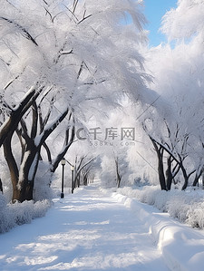 天气背景图背景图片_湖面上的雪景天气晴朗2背景图
