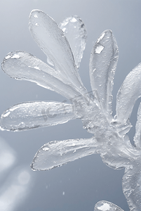 寒冷冬季结晶冰霜图49