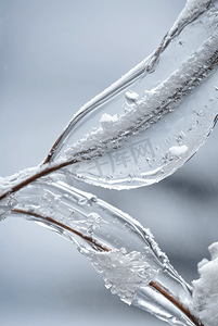 寒冷冬季结晶冰霜图120