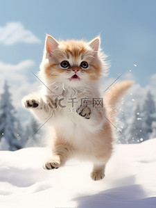 冬天的小猫雪中跳跃壁纸3背景