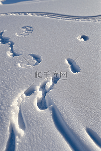 寒冷冬季白色雪景图片523