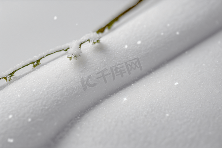 寒冷冬季雪地上覆盖积雪的树枝图10高清图片