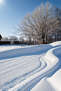 雪景图片背景图片_寒冷冬季白色雪景图片518