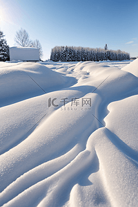 雪景图片背景图片_寒冷冬季白色雪景图片504