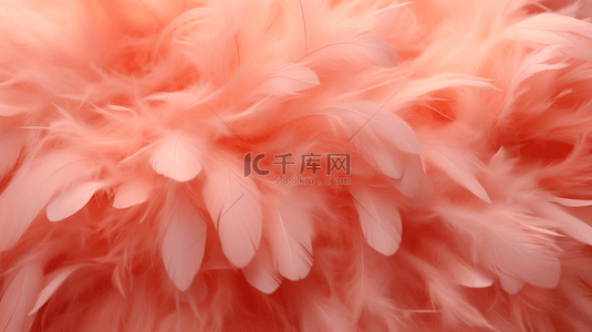粉桃色羽毛柔软装饰背景3