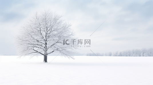 冬季冰天雪地的大树风景图片19