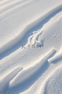 寒冷冬季白色雪景图片463