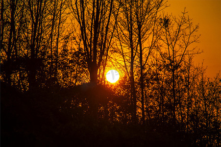 红日mv摄影照片_太阳夕阳西下森林图片自然风光