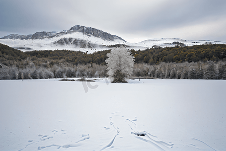 冬季户外积雪雪景摄影图24