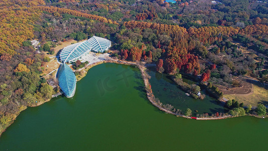 航拍南京中山植物园秋景前湖秋色风景