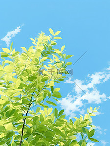 树叶背景图片_树叶蓝天白云春天立春背景图片