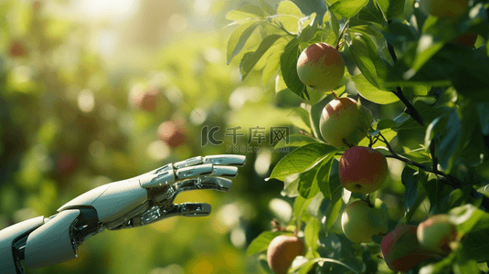 果园采摘背景图片_高科技机器人手采摘苹果的背景图5
