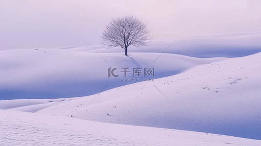 冬天自然风景雪地里的一棵树背景