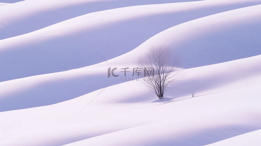 冬天自然风景雪地里的一棵树设计图