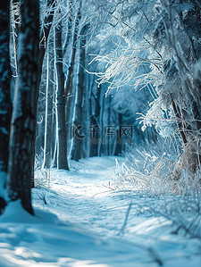 冬天的森林雪覆盖的树枝设计图