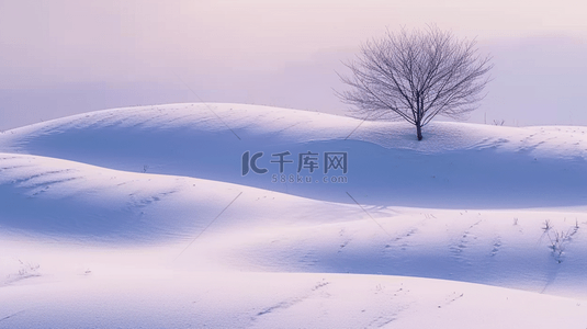 冬天自然风景雪地里的一棵树设计