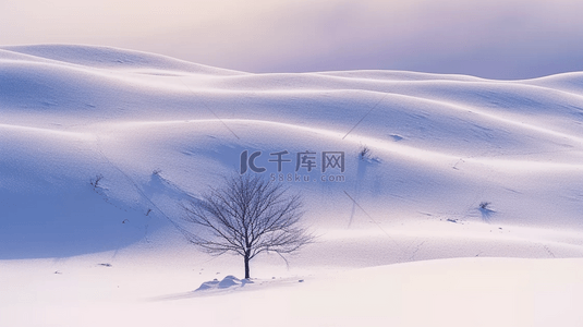 冬天自然风景雪地里的一棵树素材