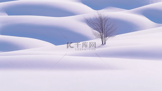 冬天自然风景雪地里的一棵树背景图