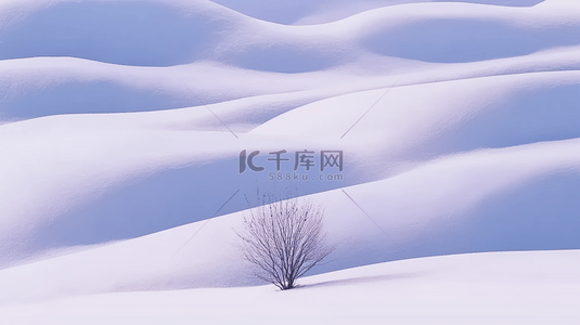 冬天自然风景雪地里的一棵树背景素材