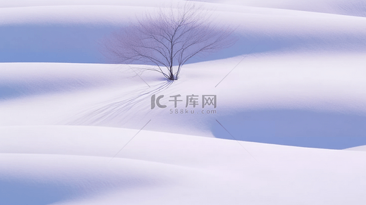 冬天自然风景雪地里的一棵树背景