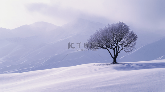 冬天自然风景雪地里的一棵树背景素材