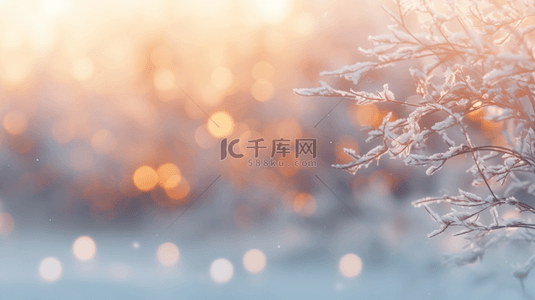 梦幻朦胧美冬季雪景图片29