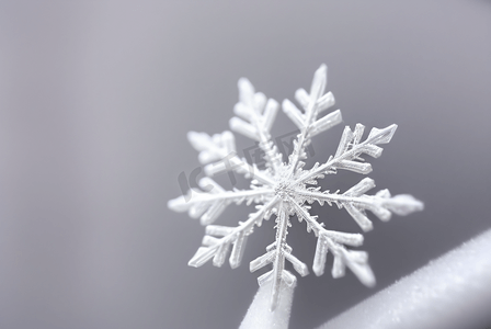 寒冷冬季雪花装饰图片2