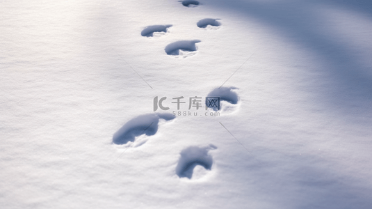 狮子的脚印背景图片_冬天雪地里的脚印设计图